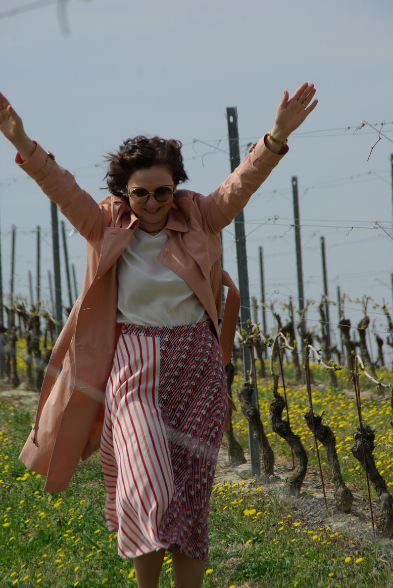 Una Passeggiata tra i Vigneti