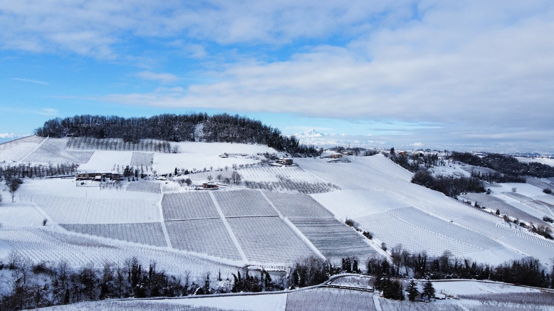Le Storie Dietro al Vino