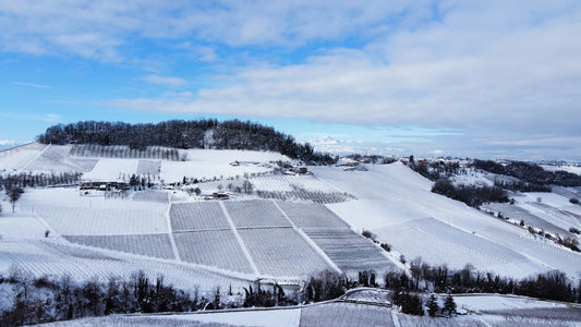 Le Storie Dietro al Vino